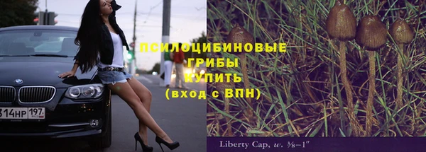 стаф Белокуриха