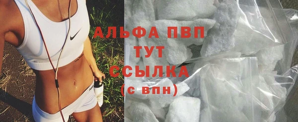стаф Белокуриха