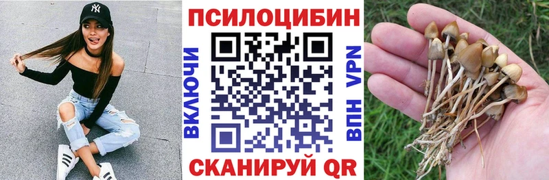 Галлюциногенные грибы MAGIC MUSHROOMS  цены   Сызрань 